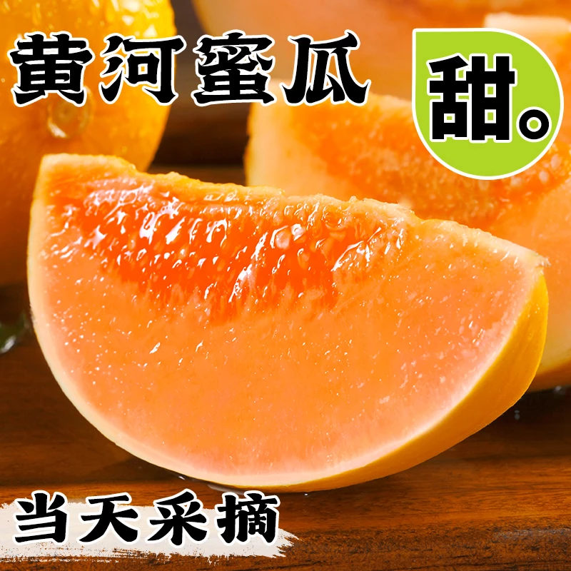 现摘黄河蜜甜瓜新鲜水果应当季整箱包邮黄金脆香瓜哈密瓜玉菇10