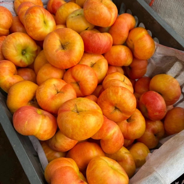 【粉色福利价】彩虹油蟠桃次果口感一级棒一级甜（介意不要拍）