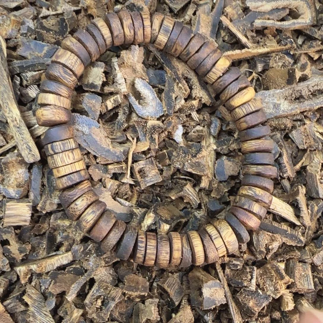 沉香碎屑沉香乌身圆叶单圈片片卡0.9多样性发－