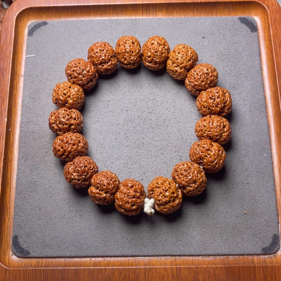 菩提25号金刚菩提五星蜂王21