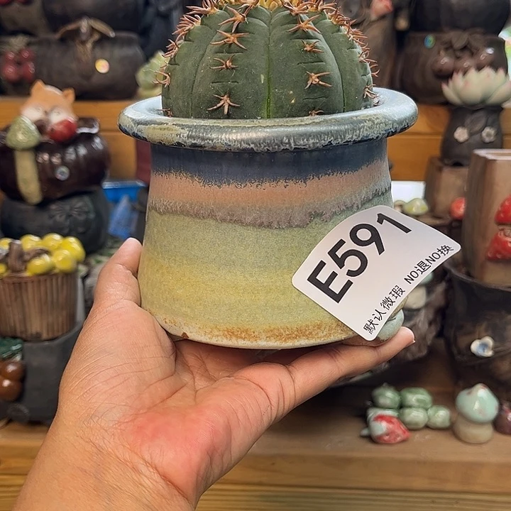 好看视频在线观看我们喜欢591