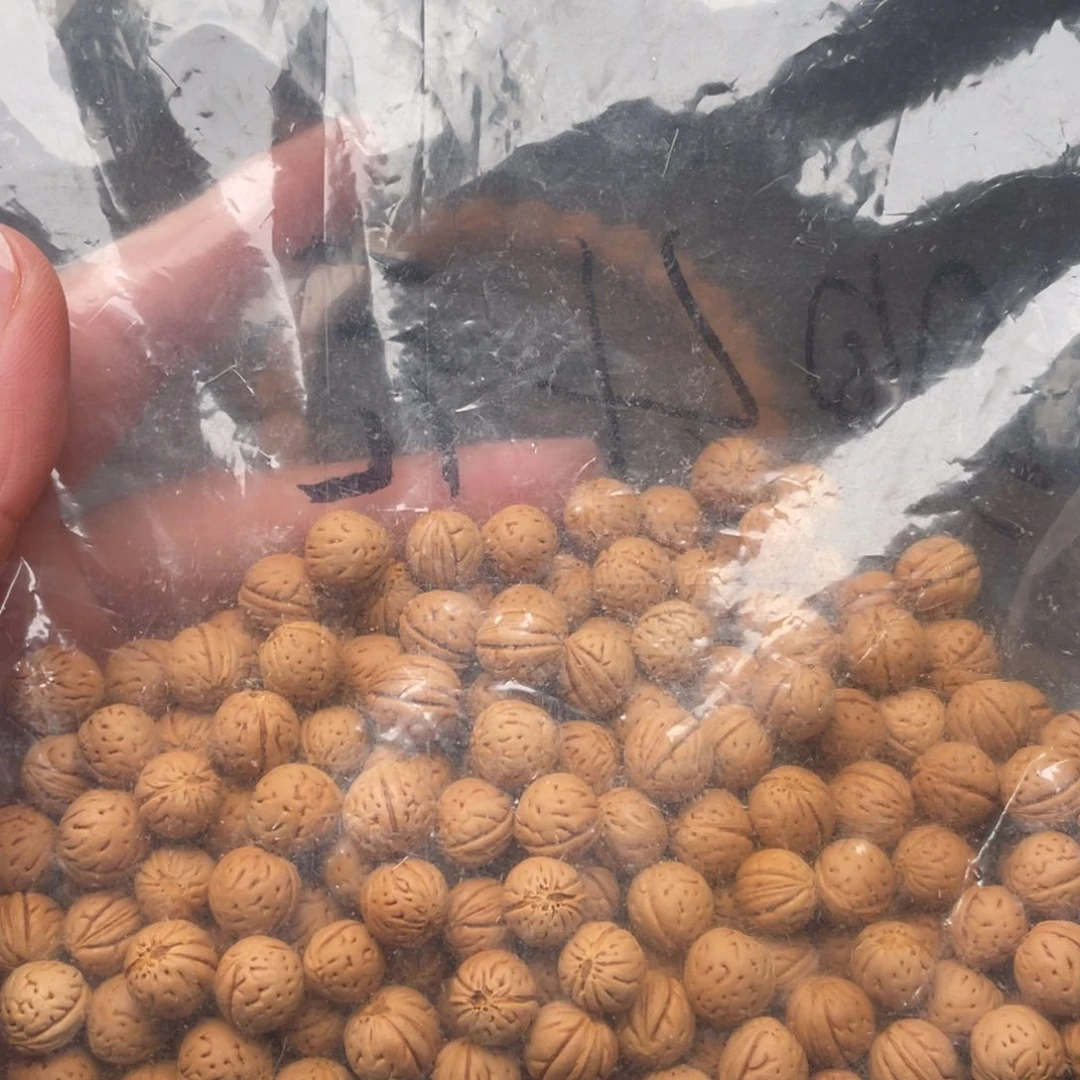 【闪购商品】墨**温散子发货999