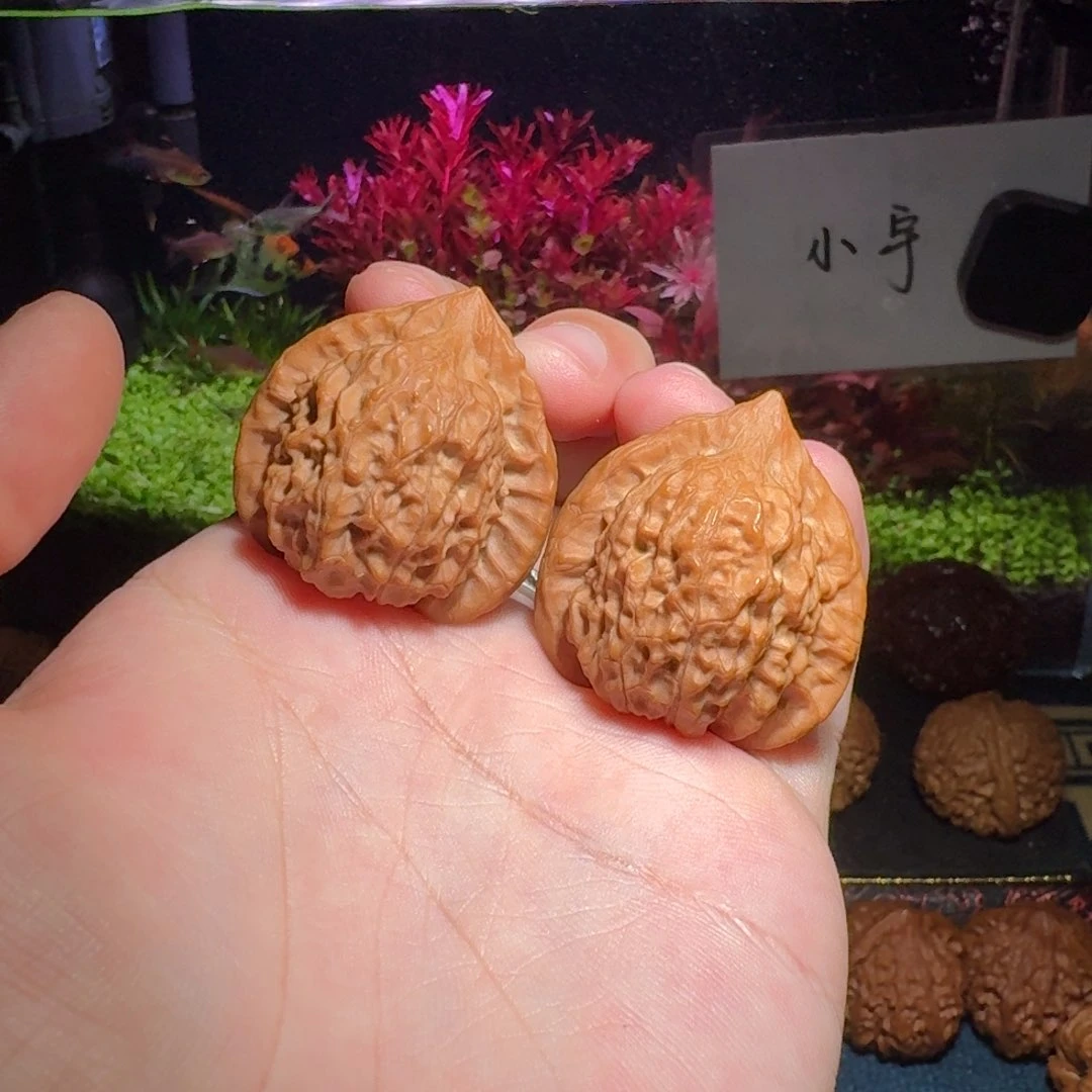 核桃把件961号36朱雀公子帽文玩核桃