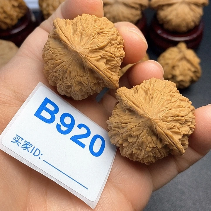 核桃小众手捻3.7，
