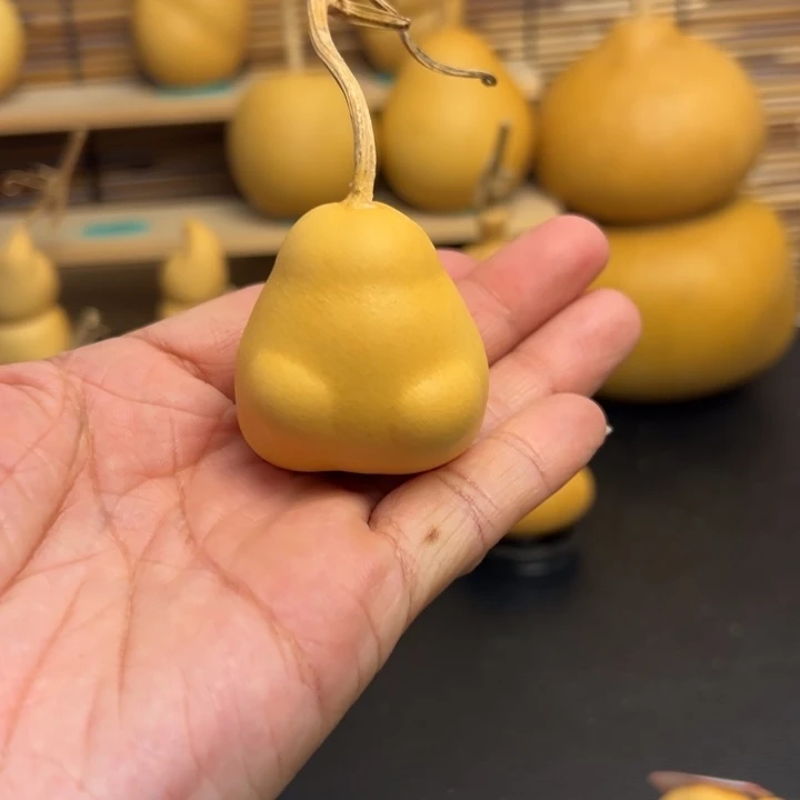 布*噜333366.6666666999