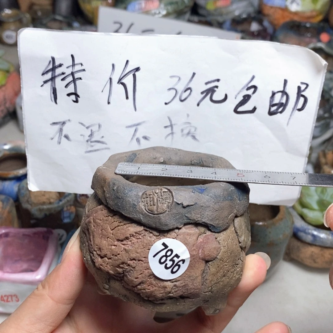 处理的，不退不换的