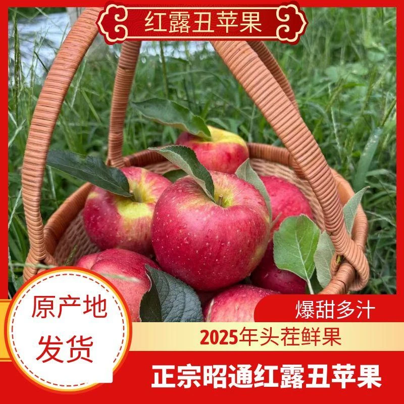【粉丝福利】正宗云南昭通高原应季红露苹果新鲜脆甜多汁现摘现发