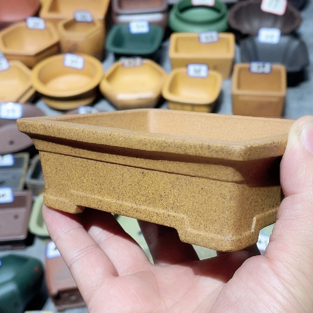 紫砂小盆10*8*3cmmmm