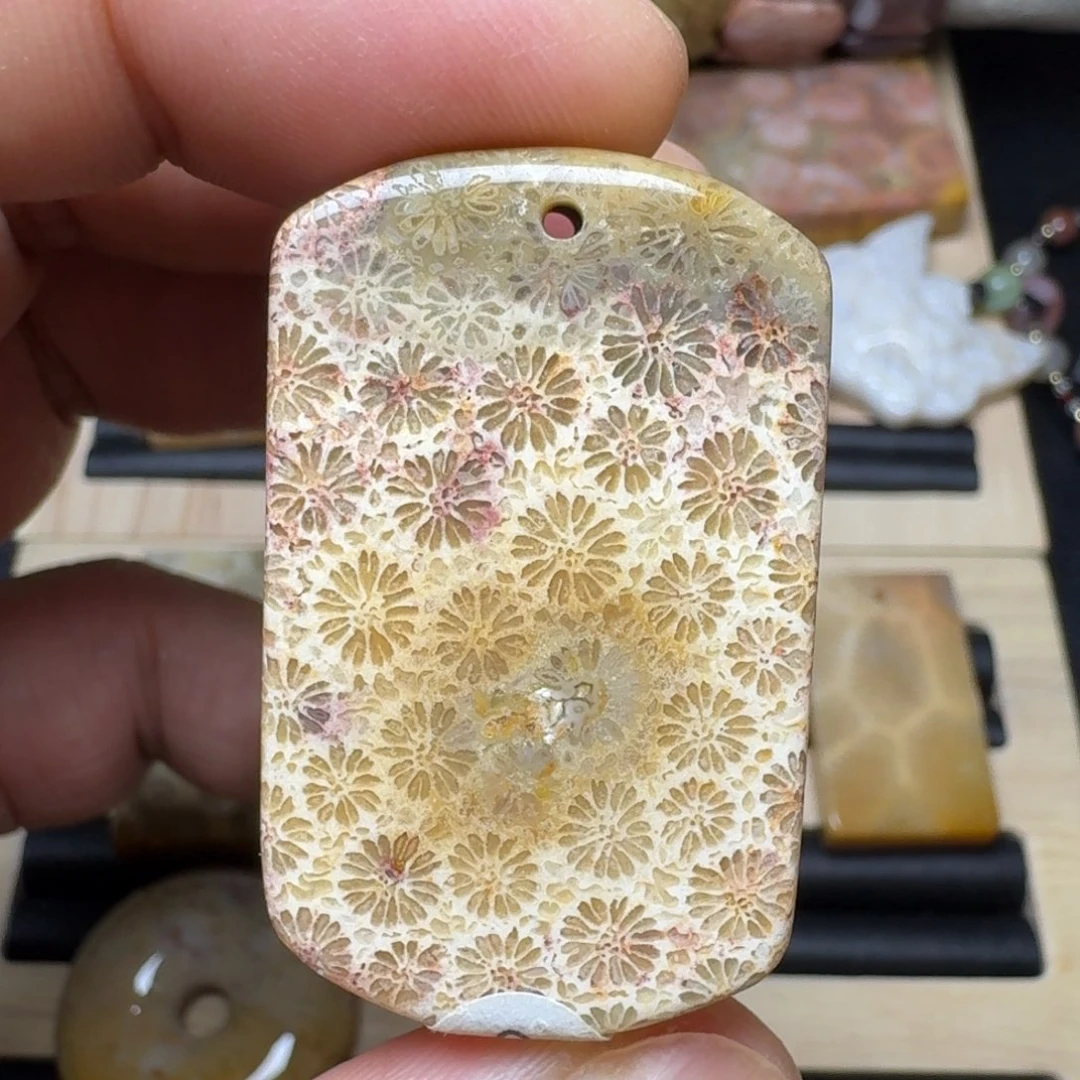 未镶嵌纯天然色有机玉石保真色硅化玉