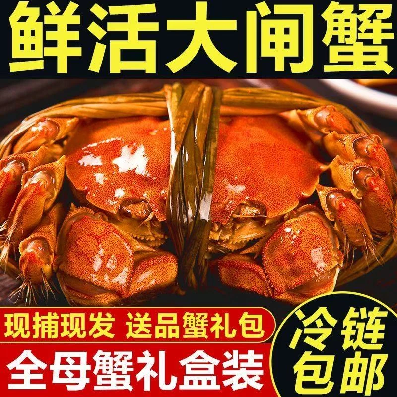 【薛公滩黄河大闸蟹】鲜活蟹2两母10只装家庭畅吃顺丰京东特快