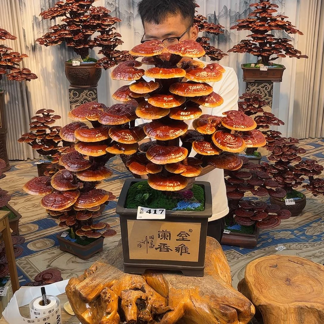 无花朵8888888888888