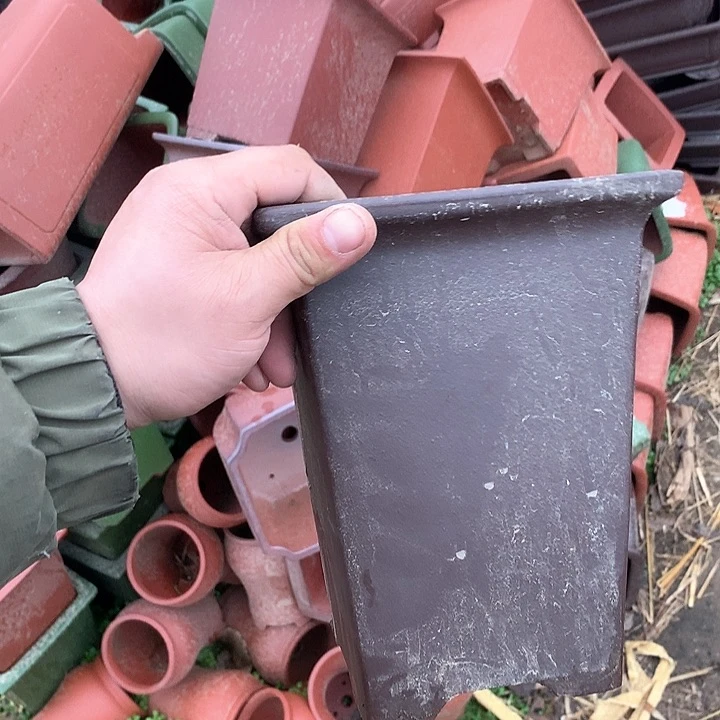 紫砂哈哈真的超级可爱哈哈哈哈哈