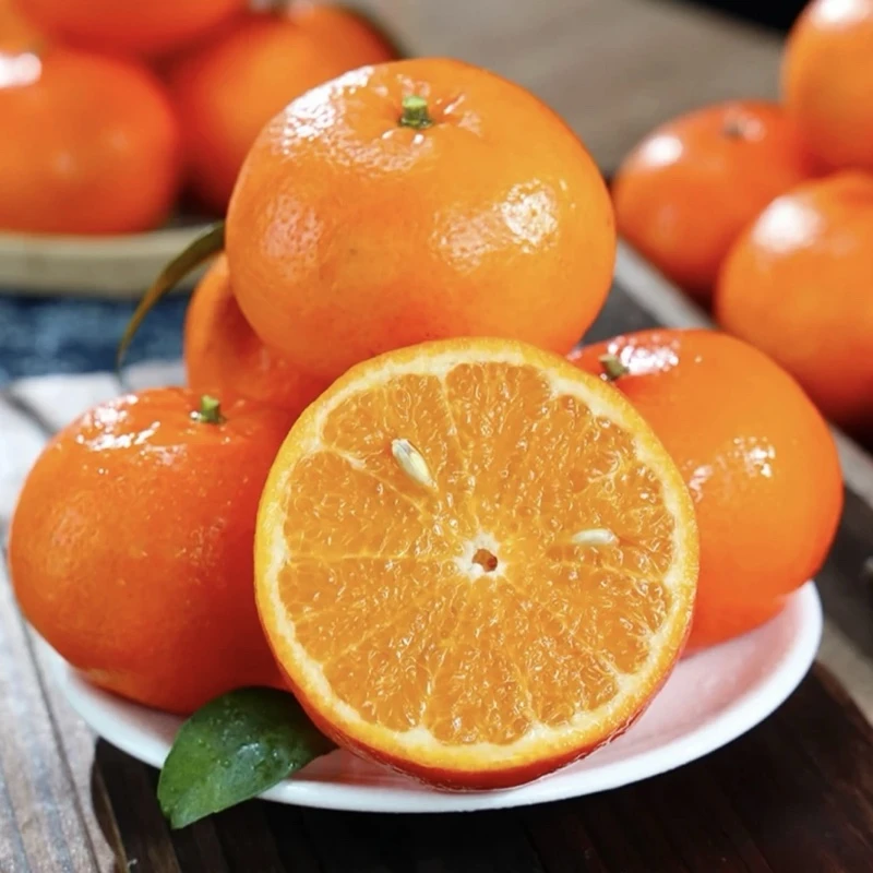 顺丰快递 广西武鸣新鲜沃柑5斤 现采现发 酸甜多汁