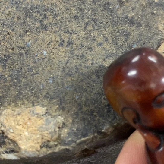 紫砂茶杯邻**哥好物分享哈哈哈哈哈