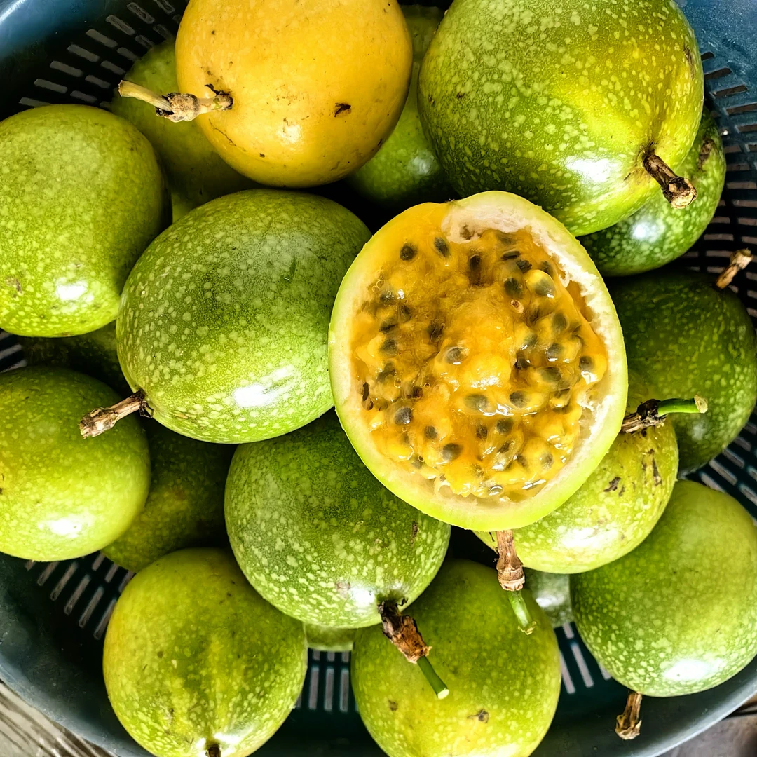 榕江村超新鲜现摘香甜多汁黄柠檬百香果当季水果钦蜜9号