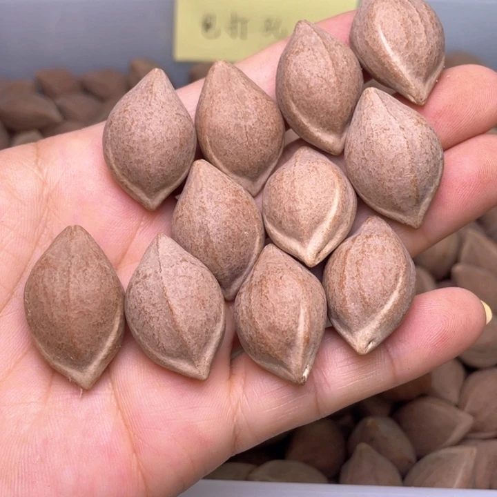橄榄核手串/手链橄榄核两花