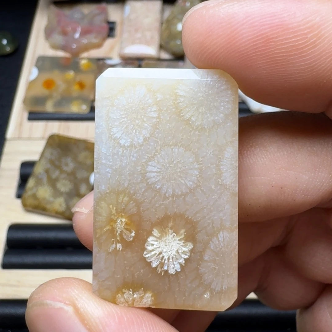 硅化玉未镶嵌纯天然色有机玉石保真色