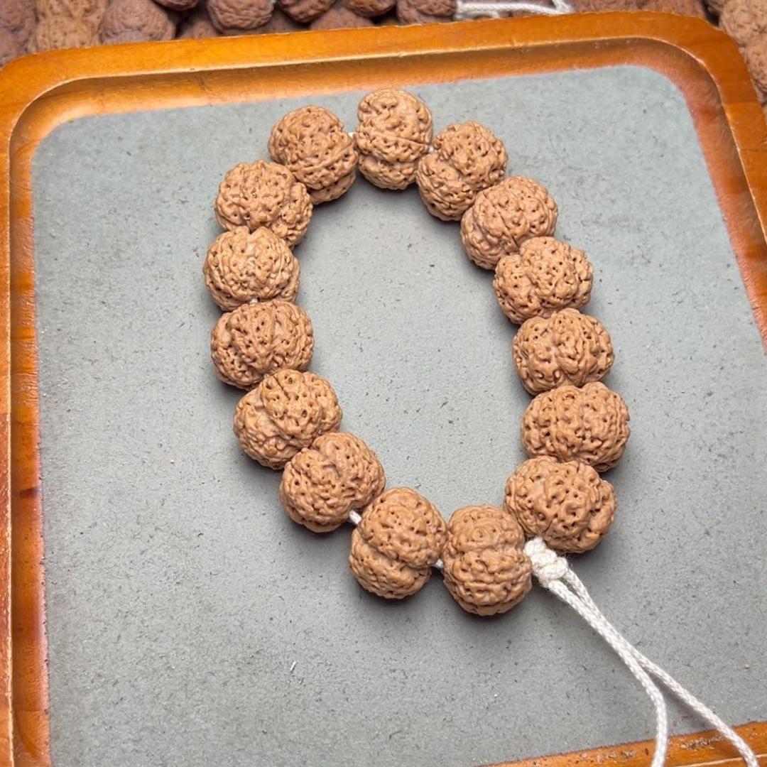 菩提13号金刚菩提梁梅花23+