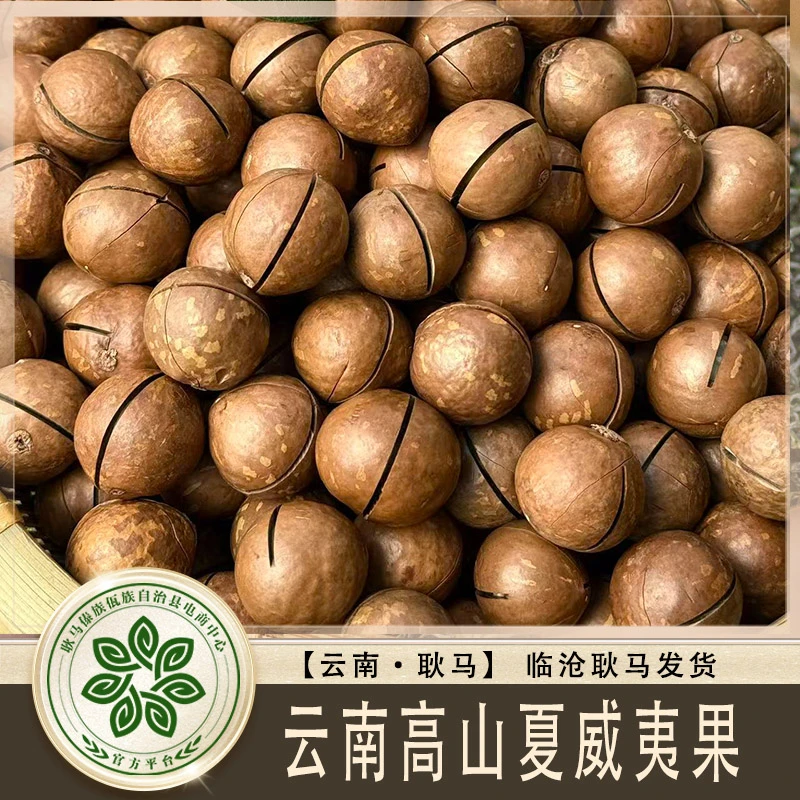 云南夏威夷果大果新货大颗粒新鲜奶香原味孕妇零食澳洲坚果500g