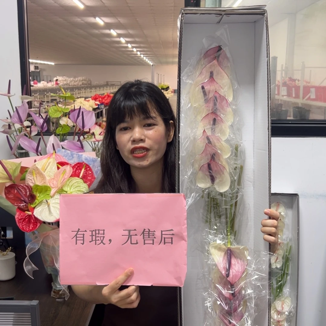 高***馆完全开放马克西玛-16枝装无售后款！