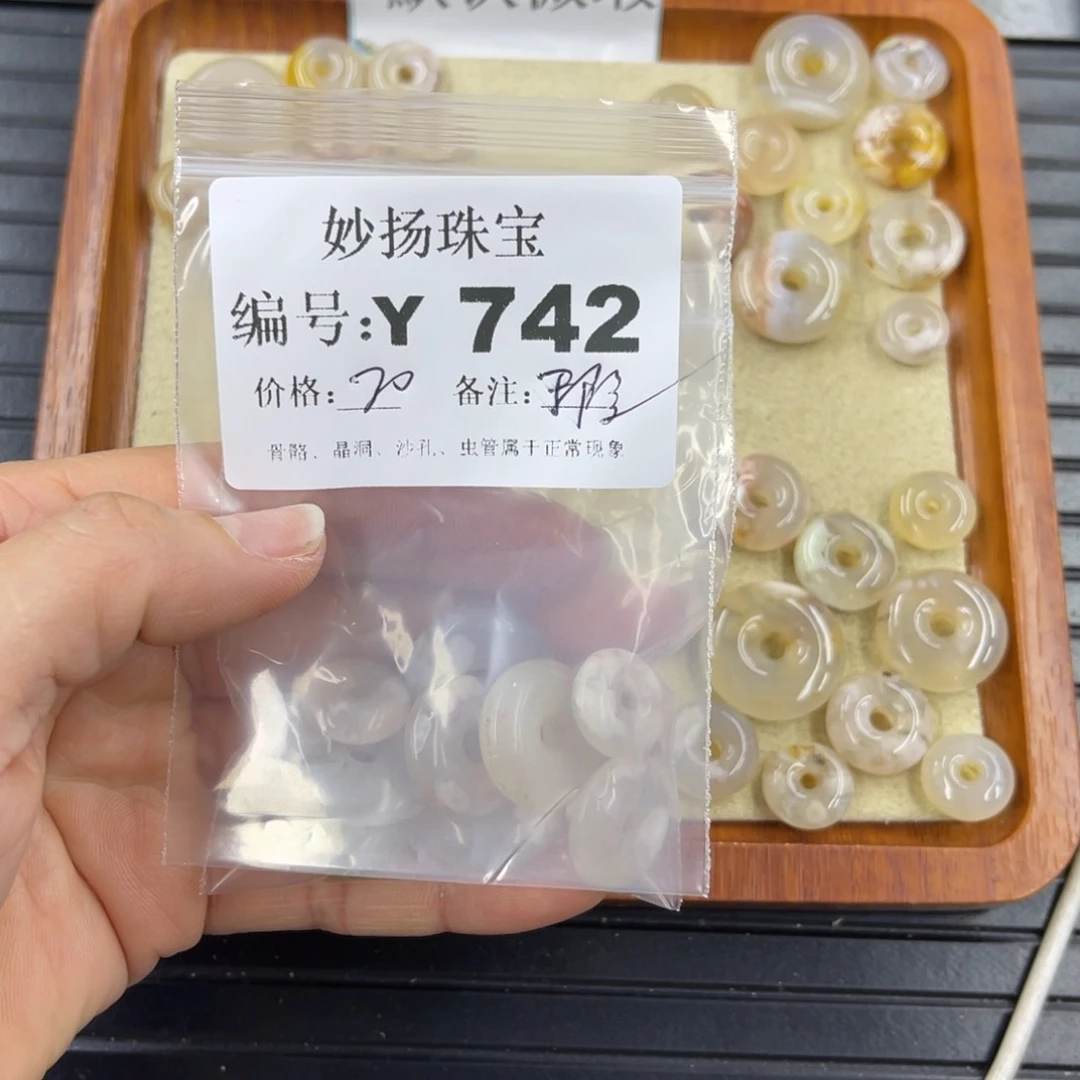 硅化珊瑚（珊瑚玉）瑕未镶嵌（****2