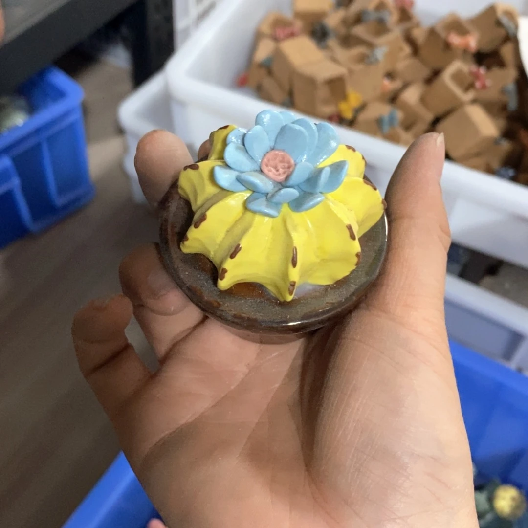 处理的，处理的，处理