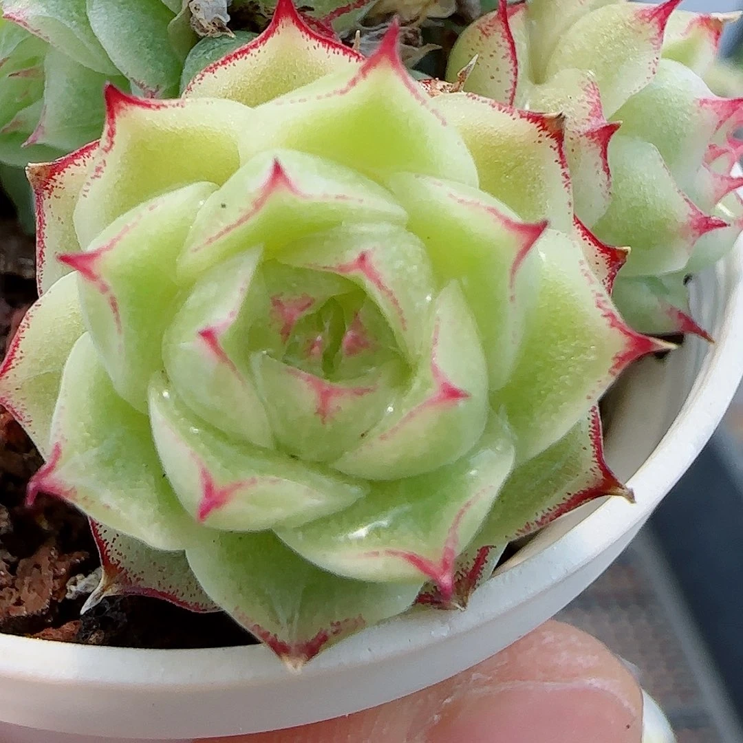 ****【闪购商品】0613-83散