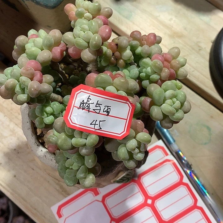 晴***雨阿鸡婆家都姐姐咯哦装修