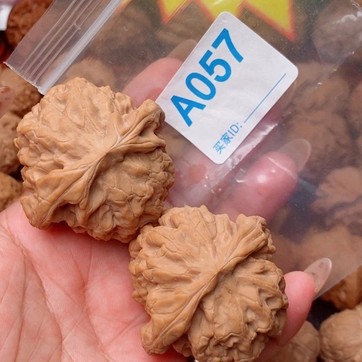 龙鼎50尺057号123