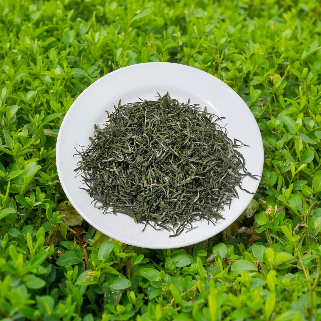 四川毛尖雨前龙头芽叶新茶浓香耐泡浓浓泛栗香高级茶叶