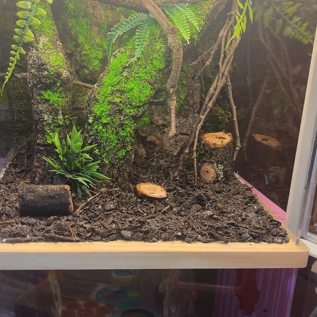 补差价哈哈哈哈哈哈