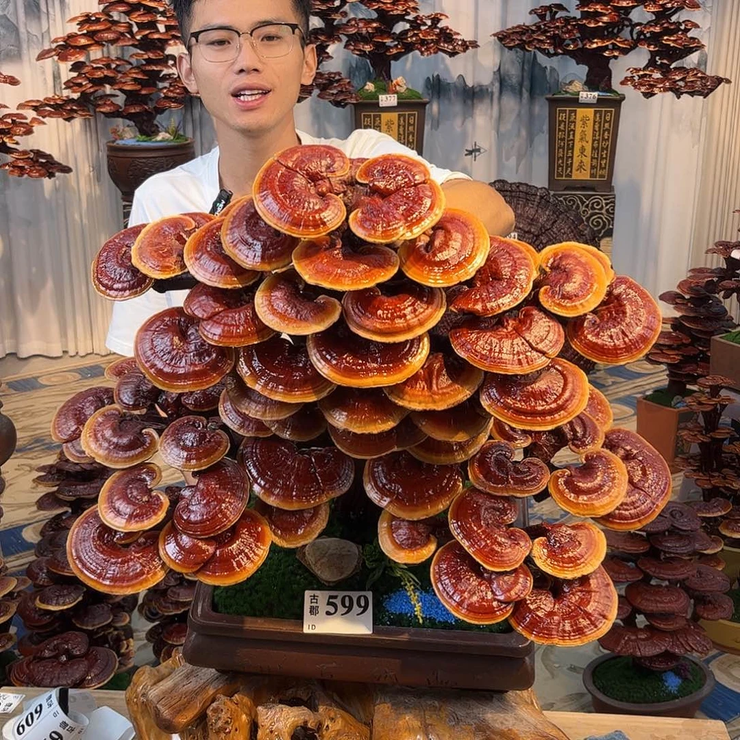 全部花朵8888888888888888