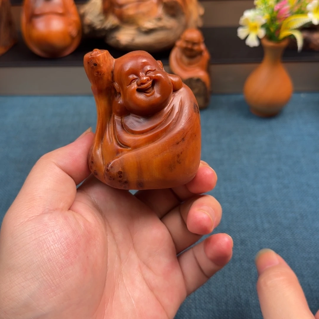 柏木（崖柏）太行崖柏