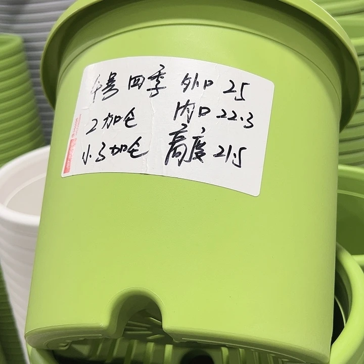 特价4号口25高21.5果绿10只无托