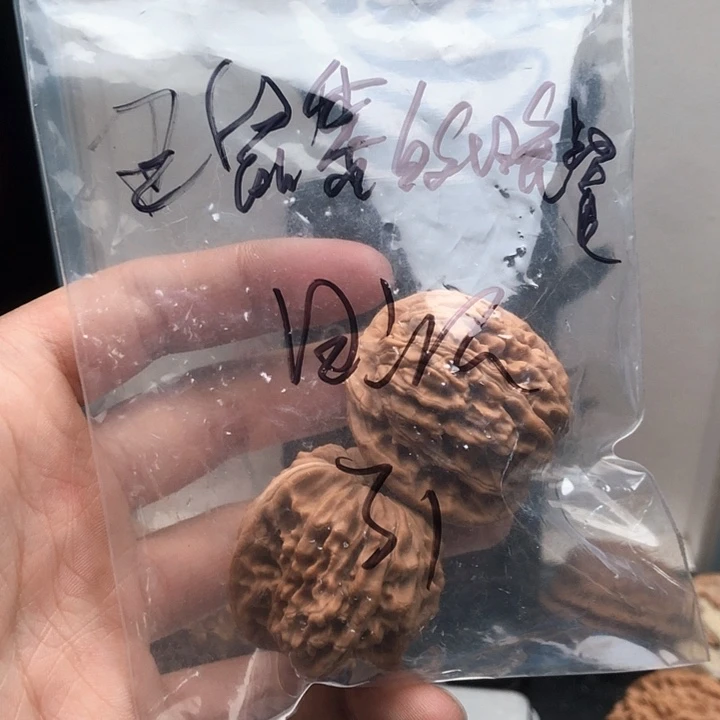 桃核吊坠王****记3767676676773