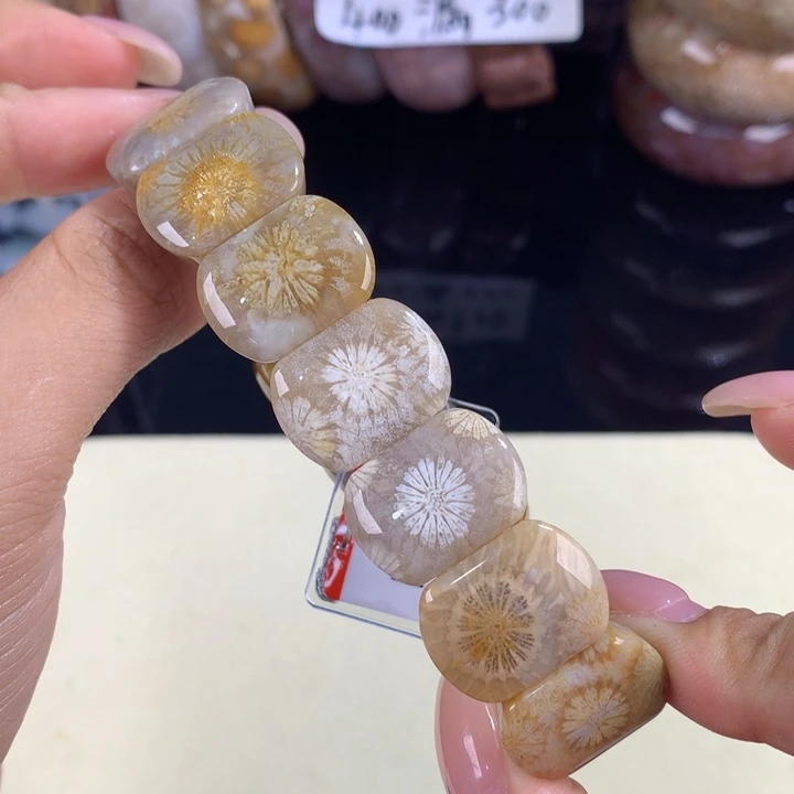 硅化珊瑚（珊瑚玉）未镶嵌吊坠(赠链)16号上新手排