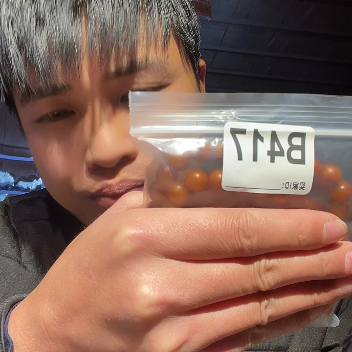 大果紫檀（缅甸花梨）417