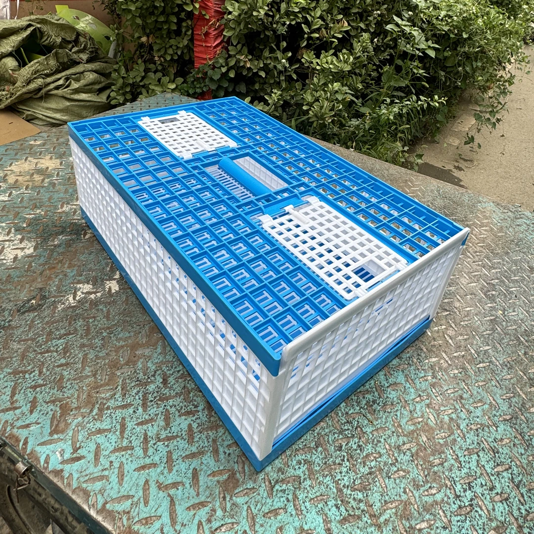 蓝白塑料拼装鸽子放飞笼训放笼实用耐用不折叠设计