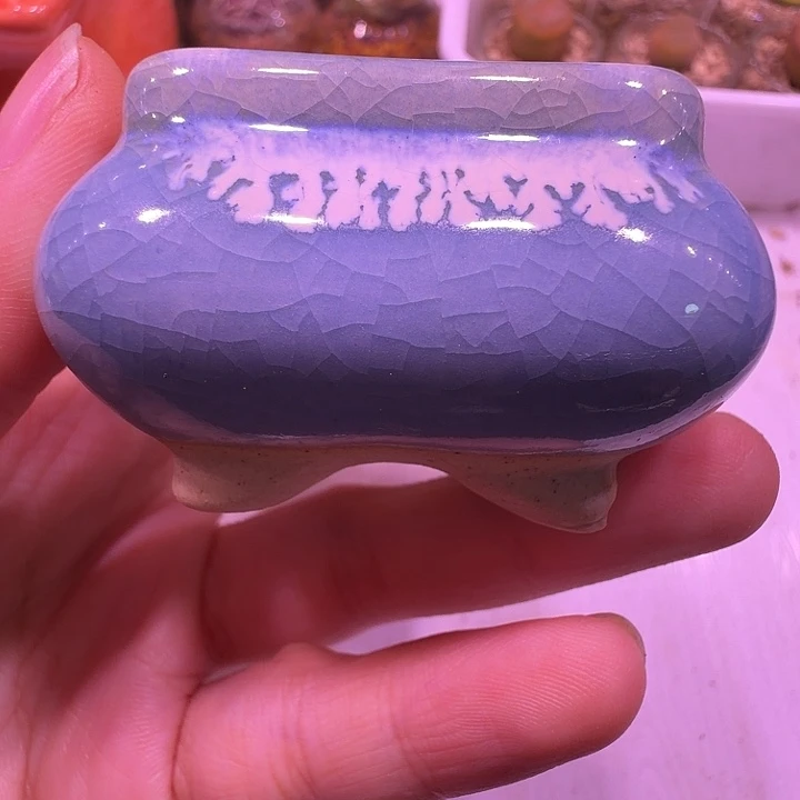 盆17，天蓝色拇指小方，多肉盆闲置处理不介意的拍！