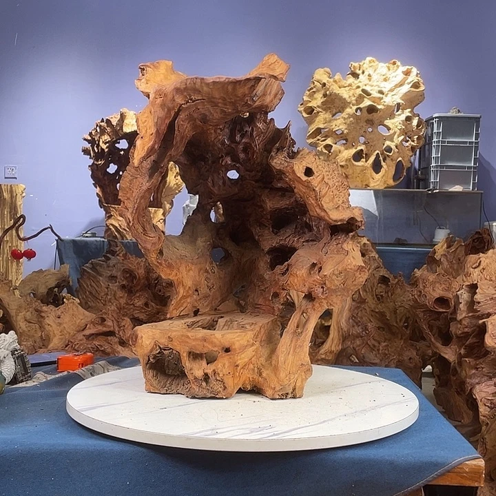 香榧木1234555666666