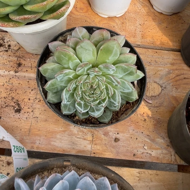 我***忙哈哈哈哈哈哈哈哈哈哈哈哈