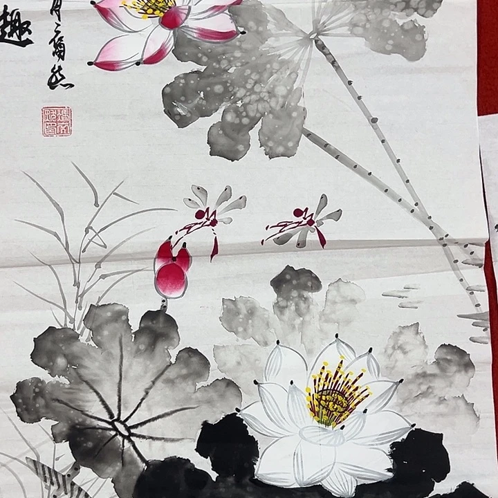 横款新号开播，喜欢看看吧……