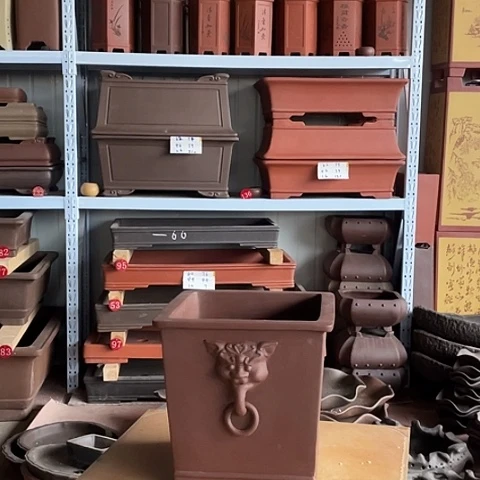 紫砂花盆中***红Mmmmmmmmmmmmm