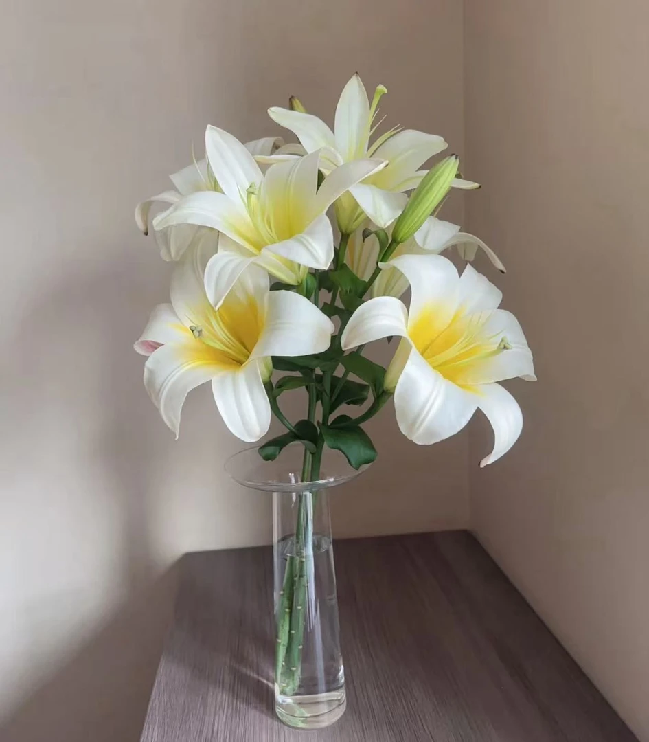 【白色星球百合】云南优选鲜切花昆明基地直发家用插花节日