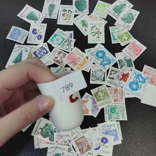 789哈哈哈哈哈哈哈