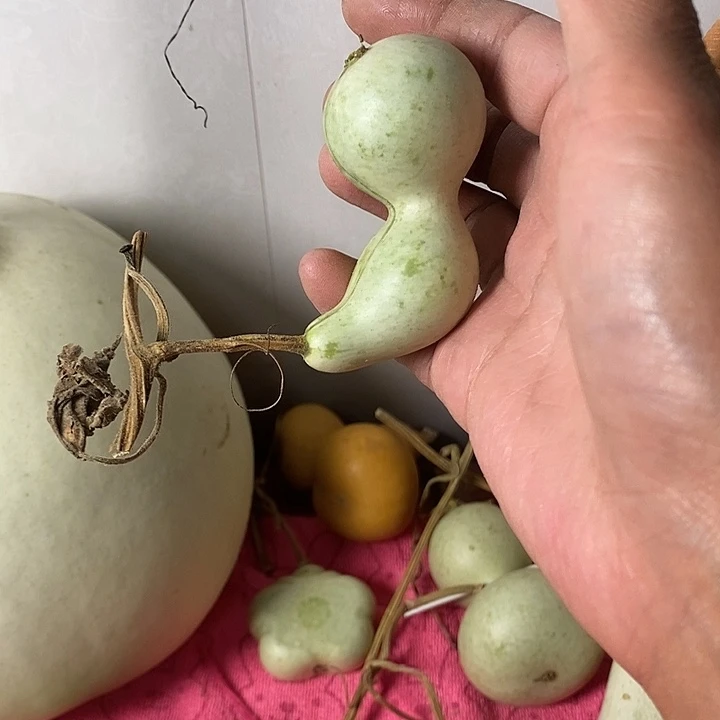 夜***风青皮葫芦手把件葫芦
