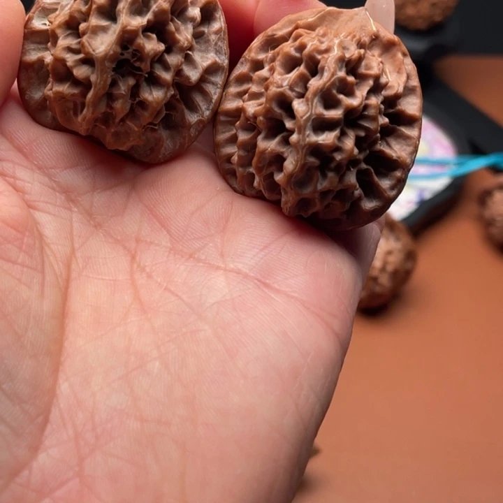 城***北桃木秦核等人的故事都在这里