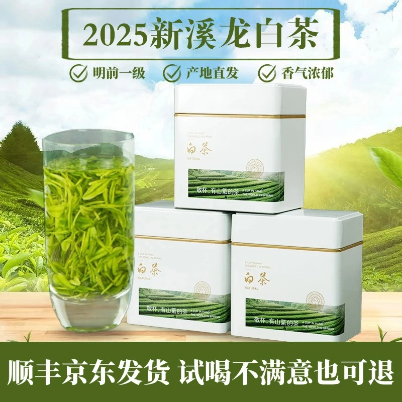 2025年新茶早春白茶高山采摘高白化源于安吉新茶白茶茶叶