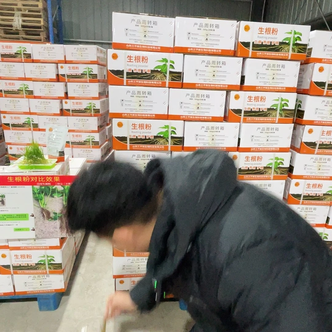 生根粉生根粉1箱20袋