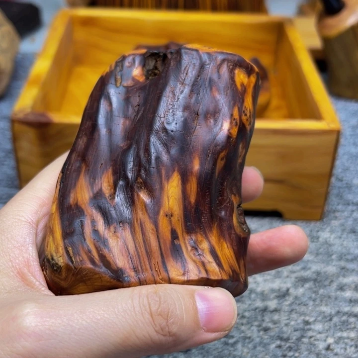 柏木（崖柏）崖柏30